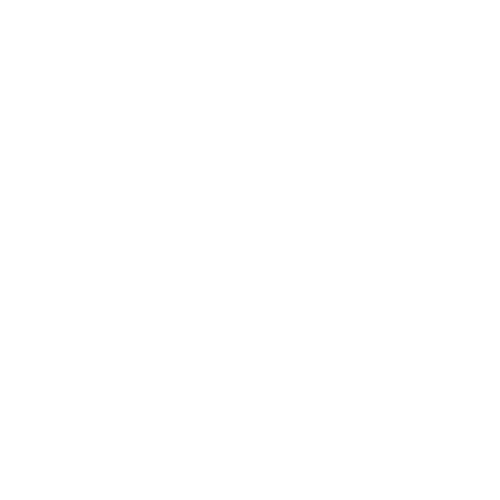 Vivid Coats Painting